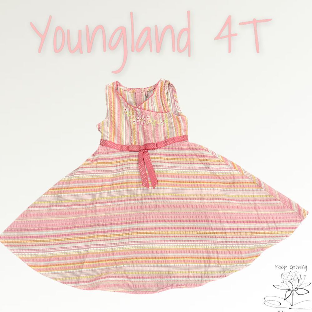 Bundle 3 for $15 | Beautiful Youngland Spring Dress | Size 4